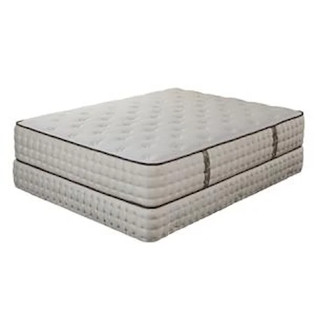 Queen Plush Mattress and Foundation